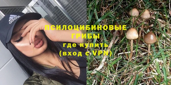 гидропоника Аркадак