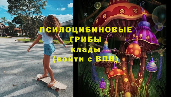 гидропоника Аркадак