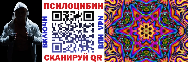 блэк спрут ссылки  Полярные Зори  Галлюциногенные грибы мицелий  цена наркотик 